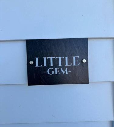 Magnolia Little Gem