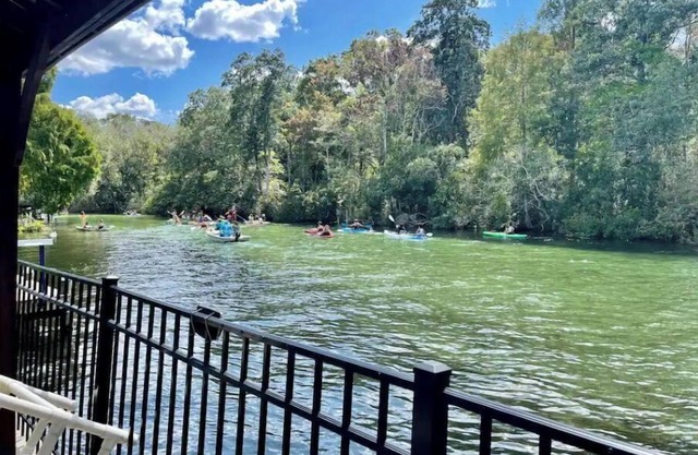 Main UpRiver Cedar Cabin w/Kayaks l New Dock l Ladder l gazebo l BBQ