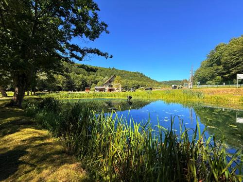 Maison d'hôtes en pleine nature avec chevaux