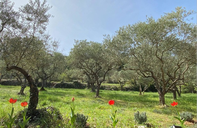 Maison de Campagne à 5 min des Gorges et Lacs du Verdon