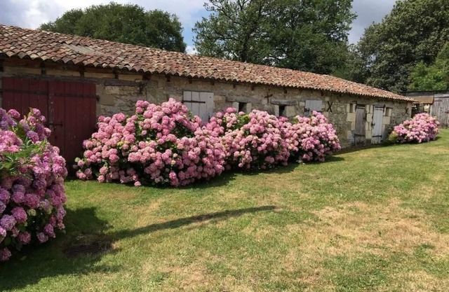 Maison de Campagne - 4ch - Poitiers/Dienné
