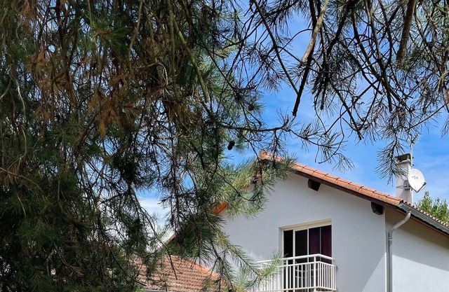 Maison de Campagne au Cœur des Pyrénées