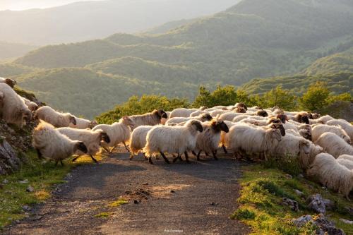 Maison Gure Chokoa Pays Basque