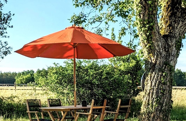 Maison MOZ Studio Terrasse Pour un Séjour Intime Entre Chambord et Cheverny