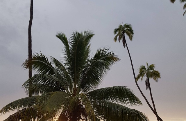 Mango Bay Resort