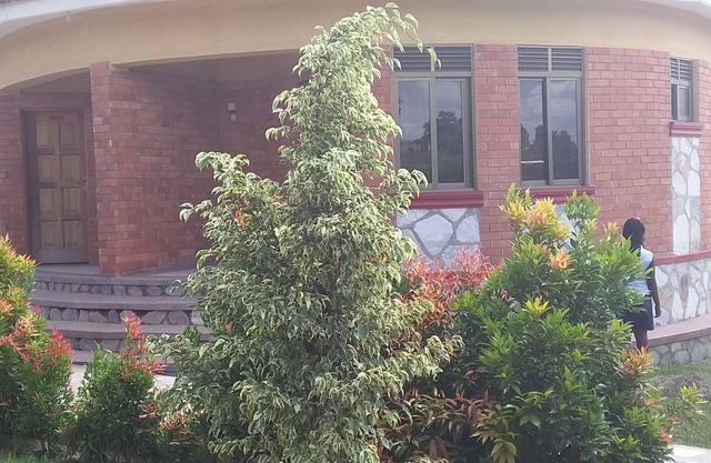 Mango Cottages & Recreation Center