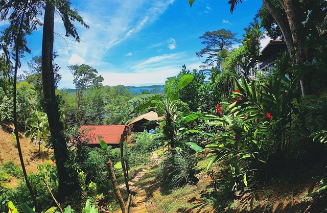 Mango EcoLodge located where the Caribbean Sea meets the tropical rainforest!
