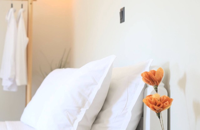 Manthos Apts - Terry Attic Studion