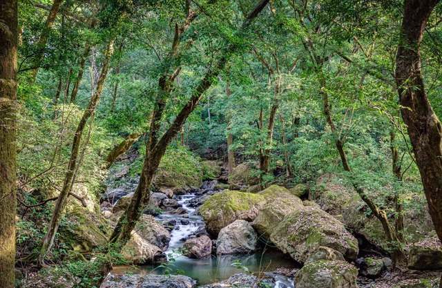 Maracuya. Five Luxury Villas Alongside the Machuca River Found in La Ecovilla