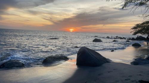 Maranta Beach