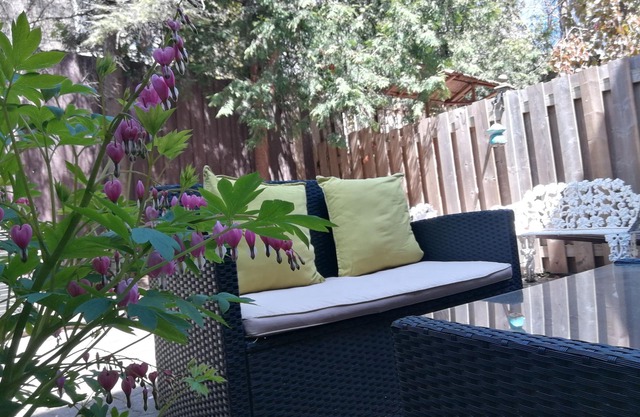 Margie Townhome Suites