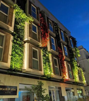 Mariposa Hotel Malaga