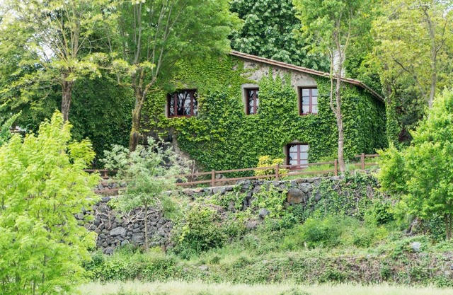 Mas La Mata