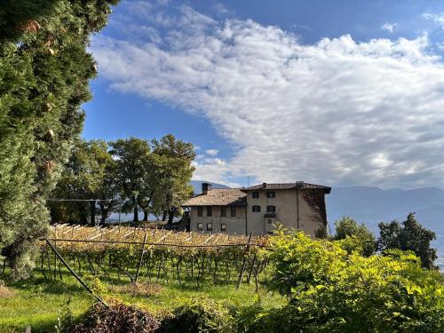 Maso Sasso - La Locanda di Putipù