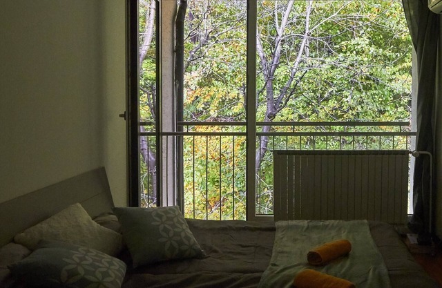 Meditative room with forest view