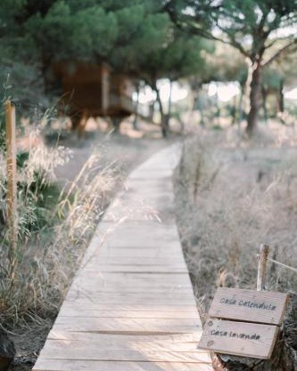 miCielo - Baumhäuser