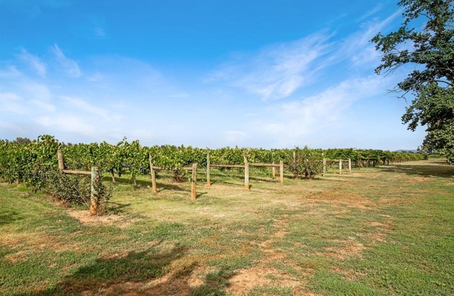 Milawa Vineyard Views - Guesthouse 2