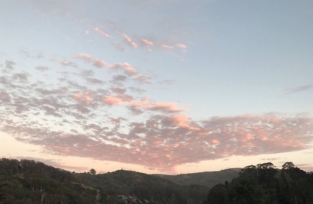 Mill Valley: 15 Mins to SF, 10 Mins to Muir Woods