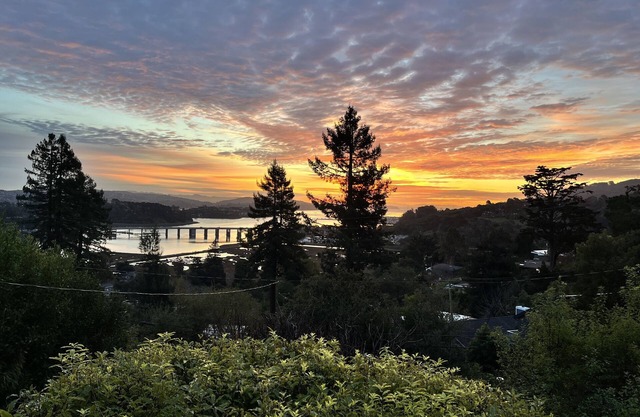 Mill Valley Escape-Minutes to Freeway, Wooded Lot & Water View