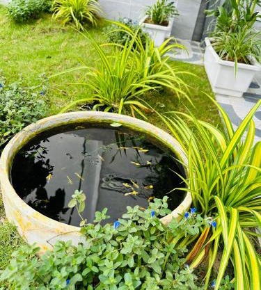 Minh Hiếu - Villa 3 rooms