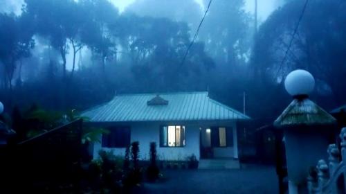 Mist Nest Munnar