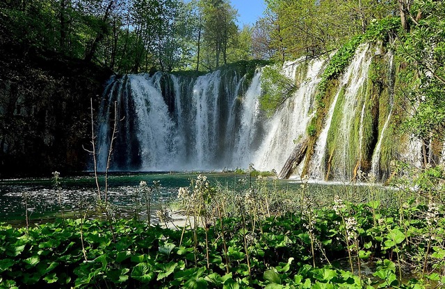 Mobile house, nature, Plitvice lakes, family, playground
