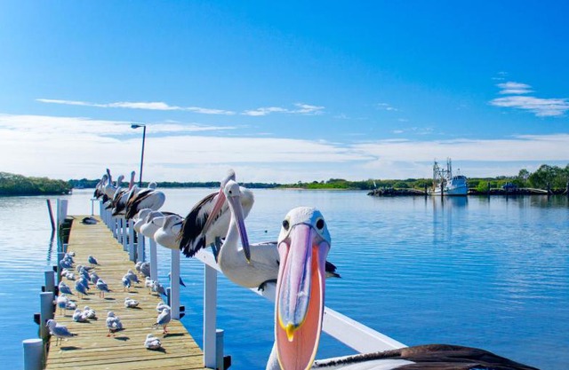 Moby Dick Waterfront Resort Motel