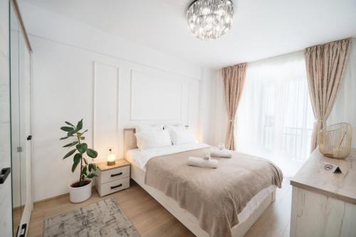 Modern Apartment with Free Private Parking in Timisoara