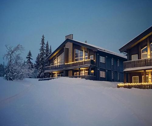 Modern Cabin In Trysil With Mountain Views