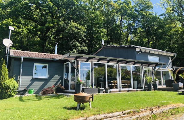 modern life in the forest