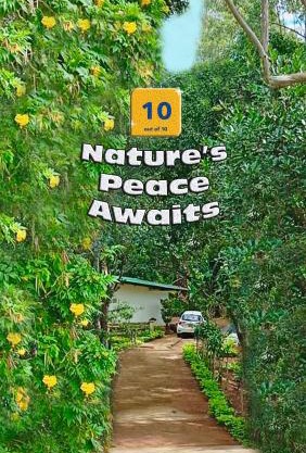 Modern Nature Lodge - Private Holiday Home - Ella