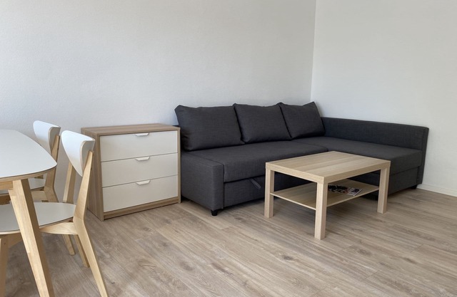 Modern workers rental/rental housing (SAD 151)