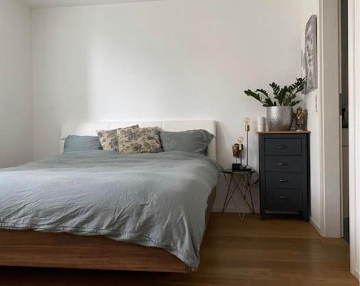 Moderno appartamento con balcone vista fiume e Monte Jungfrau