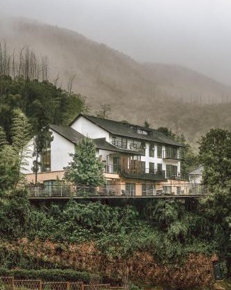Moganshan Spring Mountain View B&B