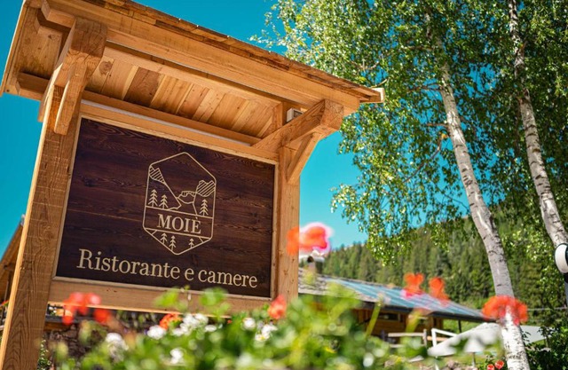 MOIE' CAMERE