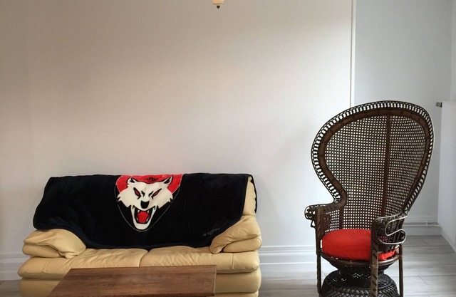 Monastic farmhouse, furnished comfort, near the center of Lyon