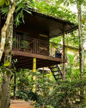 Monsoon Retreats Treehouse