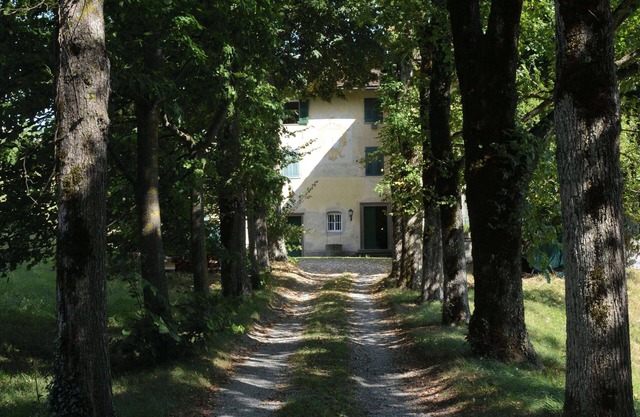 Montesoro, hystoric country villa with swimming pool, sorrounded by nature