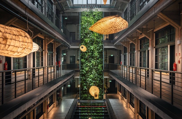 MONTOWNIA Lofts & Experience