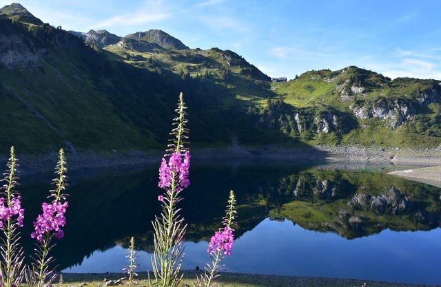 Mooroom - Appartement/fewo, Dusche, WC, 1 Schlafraum