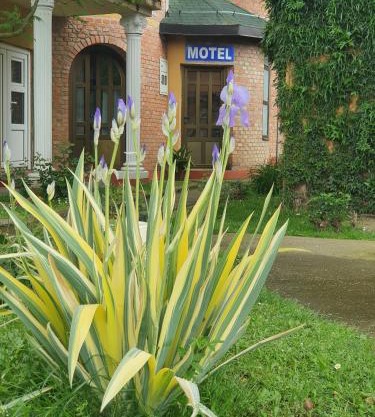 Motel Zoka
