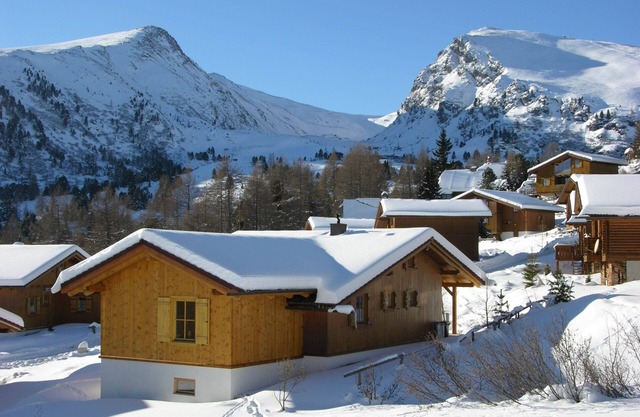Mountain cabin for summer and winter vacation (family ski resort)