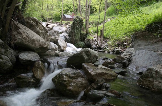 Mountain Chalet- Les pedres