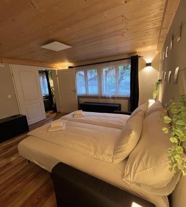 Mountain Homes