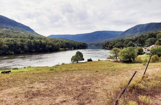 Mountain River RV Escape 12 min to downtown & Pet Friendly