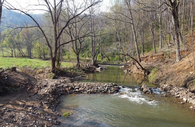 Mountain View Cabin near Asheville at Engadine Inn & Cabins, Pet-Friendly