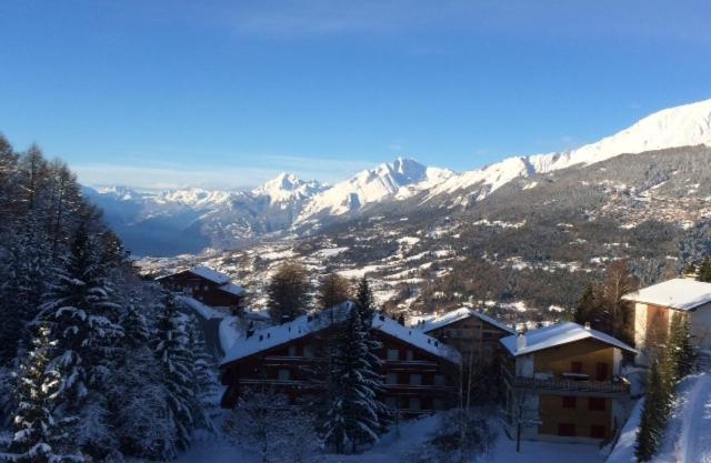 Mountain view cosy, comfortable 1 bed-room Luxury Appartment Crans-Montana