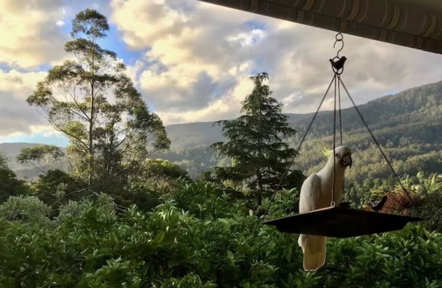 Mountain View Lodge in Warburton