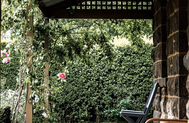 Mt Mitchell Cottage - Romantic Holiday or Family GetAway.