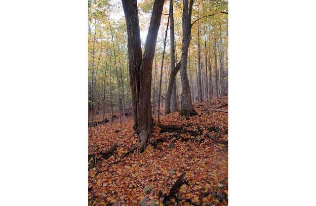 Mulmur Getaway, outside of Creemore